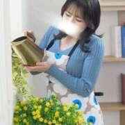 ヒメ日記 2025/11/09 09:02 投稿 菜月理亜 ハールブルク