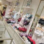 ヒメ日記 2025/11/15 00:31 投稿 菜月理亜 ハールブルク