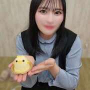 ヒメ日記 2026/02/02 21:18 投稿 菜月理亜 ハールブルク