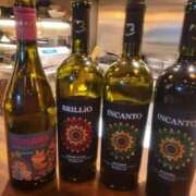 ヒメ日記 2026/02/17 11:45 投稿 菜月理亜 ハールブルク