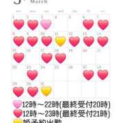 ヒメ日記 2026/02/26 16:44 投稿 菜月理亜 ハールブルク