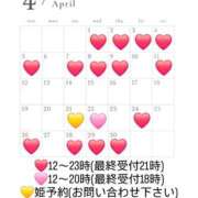 ヒメ日記 2026/04/02 16:41 投稿 菜月理亜 ハールブルク