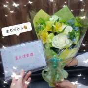 ヒメ日記 2026/04/12 12:41 投稿 菜月理亜 ハールブルク