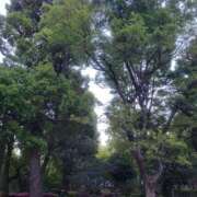 ヒメ日記 2026/04/22 05:10 投稿 菜月理亜 ハールブルク