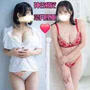 ヒメ日記 2026/04/29 14:07 投稿 菜月理亜 ハールブルク