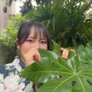 ヒメ日記 2026/08/02 13:02 投稿 菜月理亜 ハールブルク