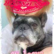 ヒメ日記 2025/02/25 14:27 投稿 榛之もも 日暮里ド淫乱倶楽部