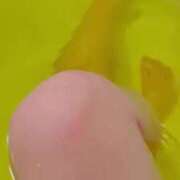 ヒメ日記 2025/02/25 22:14 投稿 榛之もも 日暮里ド淫乱倶楽部