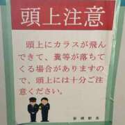 ヒメ日記 2025/03/15 12:24 投稿 榛之もも 日暮里ド淫乱倶楽部
