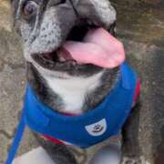 ヒメ日記 2025/03/18 14:44 投稿 榛之もも 日暮里ド淫乱倶楽部