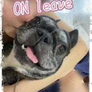 ヒメ日記 2025/04/26 11:06 投稿 榛之もも 日暮里ド淫乱倶楽部