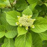 ヒメ日記 2025/05/23 14:34 投稿 榛之もも 日暮里ド淫乱倶楽部