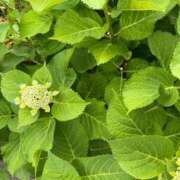 ヒメ日記 2025/05/24 12:44 投稿 榛之もも 日暮里ド淫乱倶楽部