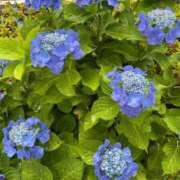 ヒメ日記 2025/06/10 14:34 投稿 榛之もも 日暮里ド淫乱倶楽部