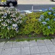 ヒメ日記 2025/06/20 14:34 投稿 榛之もも 日暮里ド淫乱倶楽部