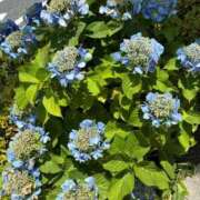 ヒメ日記 2025/06/21 12:32 投稿 榛之もも 日暮里ド淫乱倶楽部