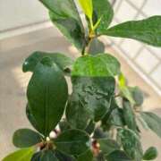 ヒメ日記 2025/07/09 12:22 投稿 榛之もも 日暮里ド淫乱倶楽部