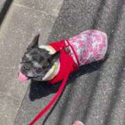 ヒメ日記 2025/07/18 14:54 投稿 榛之もも 日暮里ド淫乱倶楽部