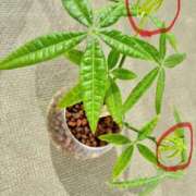 ヒメ日記 2025/07/19 09:16 投稿 榛之もも 日暮里ド淫乱倶楽部