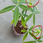 ヒメ日記 2025/07/19 12:11 投稿 榛之もも 日暮里ド淫乱倶楽部