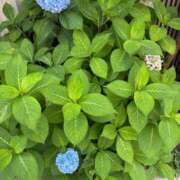 ヒメ日記 2025/07/30 16:44 投稿 榛之もも 日暮里ド淫乱倶楽部