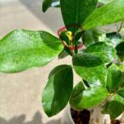 ヒメ日記 2025/08/09 12:20 投稿 榛之もも 日暮里ド淫乱倶楽部