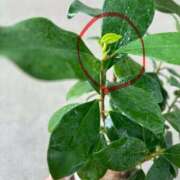 ヒメ日記 2025/08/12 12:12 投稿 榛之もも 日暮里ド淫乱倶楽部