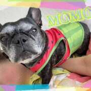 ヒメ日記 2025/08/15 09:24 投稿 榛之もも 日暮里ド淫乱倶楽部