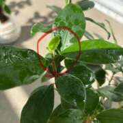 ヒメ日記 2025/08/15 12:08 投稿 榛之もも 日暮里ド淫乱倶楽部