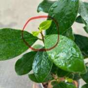 ヒメ日記 2025/08/16 11:05 投稿 榛之もも 日暮里ド淫乱倶楽部