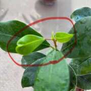 ヒメ日記 2025/08/19 12:48 投稿 榛之もも 日暮里ド淫乱倶楽部