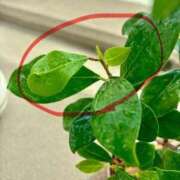 ヒメ日記 2025/08/22 12:22 投稿 榛之もも 日暮里ド淫乱倶楽部