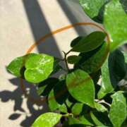 ヒメ日記 2025/08/30 11:19 投稿 榛之もも 日暮里ド淫乱倶楽部