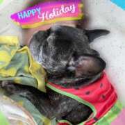 ヒメ日記 2025/09/13 09:11 投稿 榛之もも 日暮里ド淫乱倶楽部