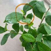 ヒメ日記 2025/09/13 15:05 投稿 榛之もも 日暮里ド淫乱倶楽部