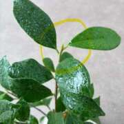 ヒメ日記 2025/09/19 12:08 投稿 榛之もも 日暮里ド淫乱倶楽部