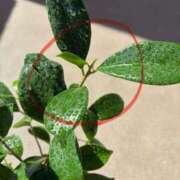 ヒメ日記 2025/09/26 12:24 投稿 榛之もも 日暮里ド淫乱倶楽部