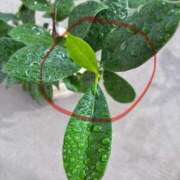 ヒメ日記 2025/09/27 12:24 投稿 榛之もも 日暮里ド淫乱倶楽部