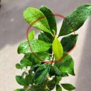 ヒメ日記 2025/10/03 12:24 投稿 榛之もも 日暮里ド淫乱倶楽部