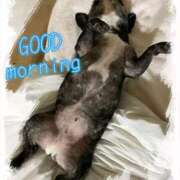 ヒメ日記 2025/10/08 09:13 投稿 榛之もも 日暮里ド淫乱倶楽部