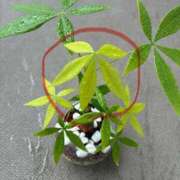 ヒメ日記 2025/10/14 15:21 投稿 榛之もも 日暮里ド淫乱倶楽部