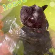 ヒメ日記 2025/10/15 23:44 投稿 榛之もも 日暮里ド淫乱倶楽部