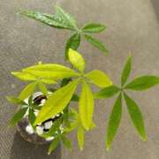 ヒメ日記 2025/10/21 15:07 投稿 榛之もも 日暮里ド淫乱倶楽部