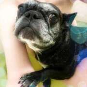 ヒメ日記 2025/12/03 23:16 投稿 榛之もも 日暮里ド淫乱倶楽部