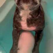 ヒメ日記 2025/12/10 23:21 投稿 榛之もも 日暮里ド淫乱倶楽部