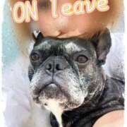 ヒメ日記 2025/12/24 18:16 投稿 榛之もも 日暮里ド淫乱倶楽部