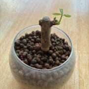 ヒメ日記 2026/01/13 12:23 投稿 榛之もも 日暮里ド淫乱倶楽部