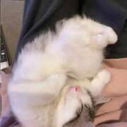 ヒメ日記 2025/09/01 23:21 投稿 小倉にじ ウルトラプラチナム