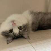 ヒメ日記 2025/09/18 18:02 投稿 小倉にじ ウルトラプラチナム