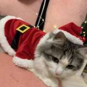 ヒメ日記 2025/12/01 14:04 投稿 小倉にじ ウルトラプラチナム